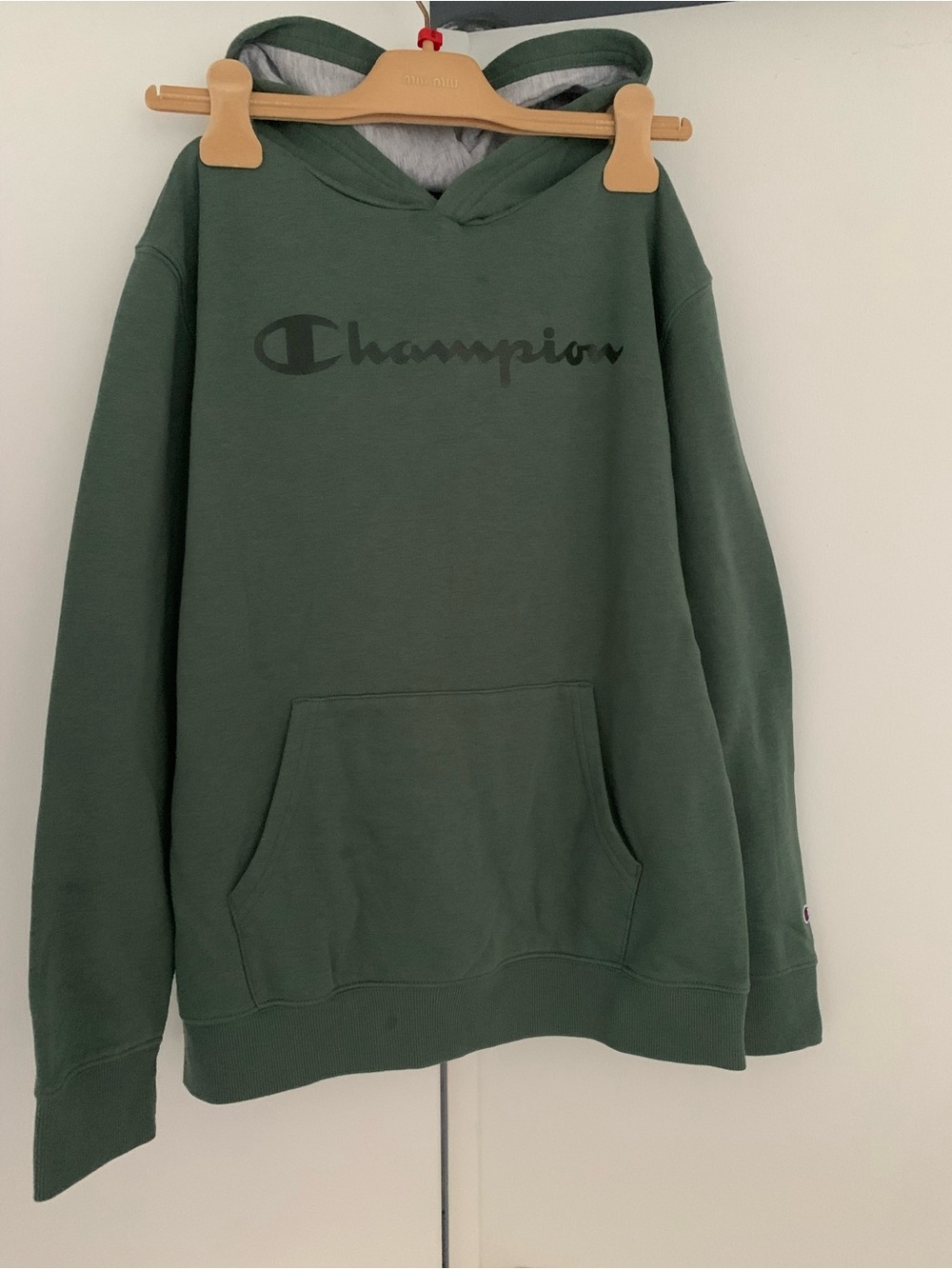 EUC! Champion kids sweatshirt